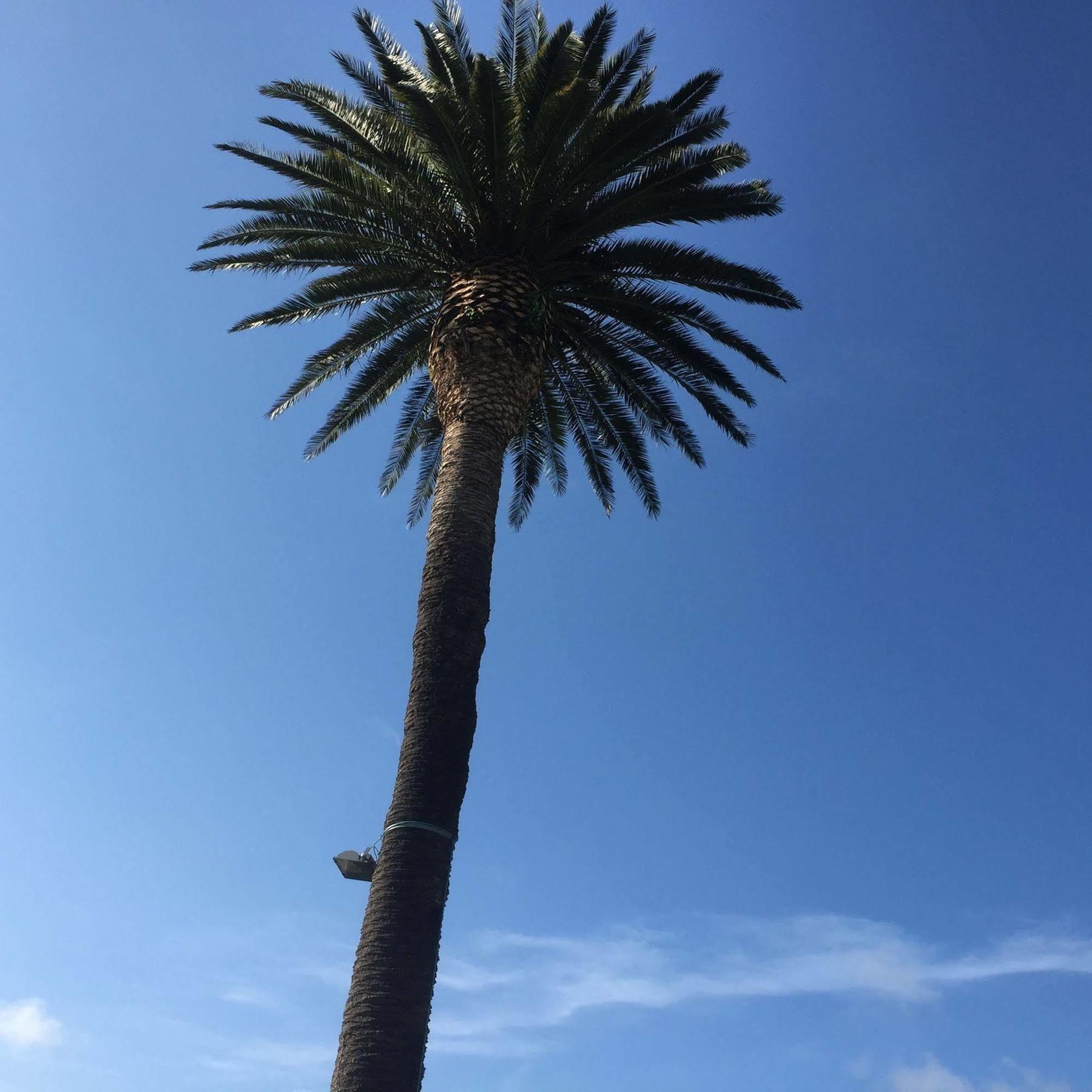 马尔福雷酒店 伊诺赫多 外观 照片