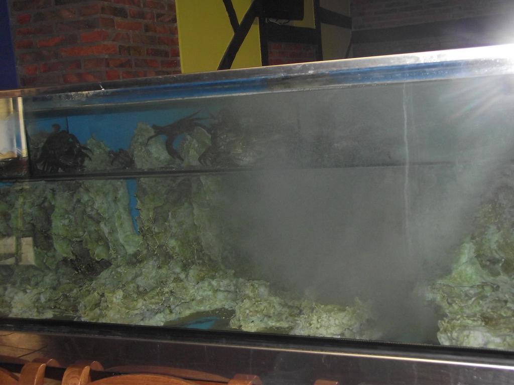 马尔福雷酒店 伊诺赫多 外观 照片